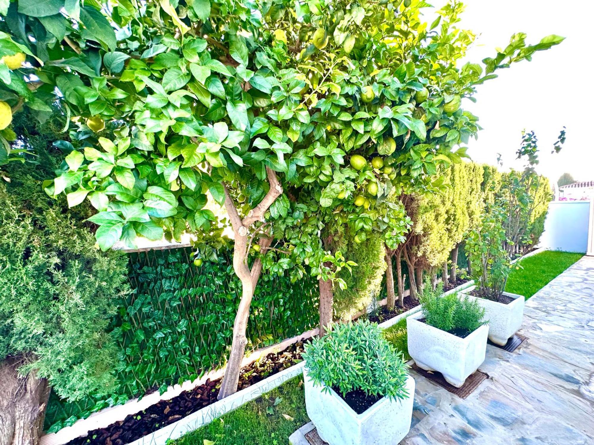 Villa Casacara Marbella Beachside Costabella -Spain Eksteriør billede